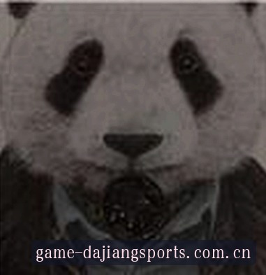 赵刚