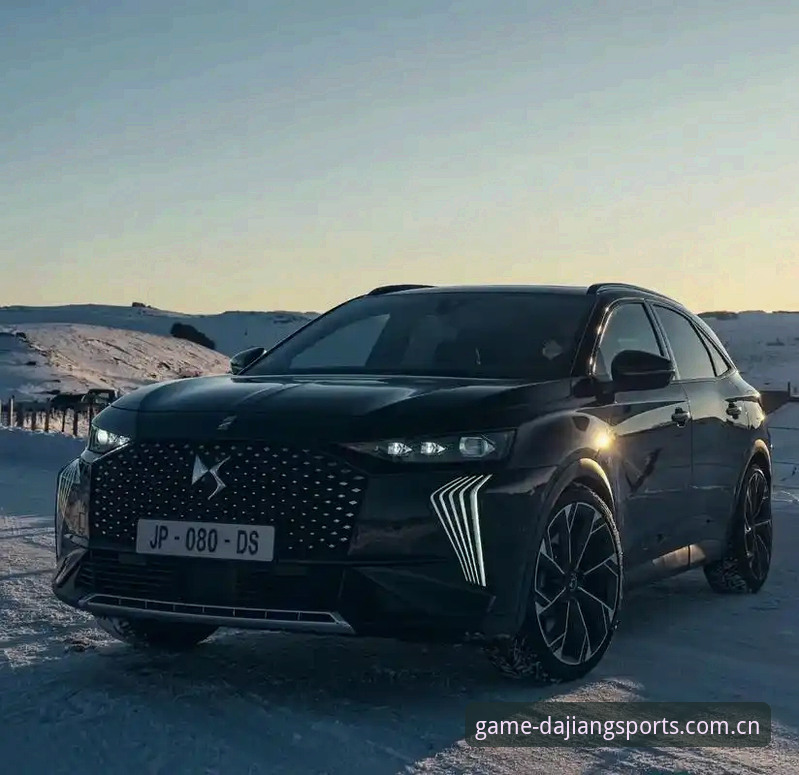 DS Sports下载教程使用技巧深度评测：大江体育平台的进阶实战经验